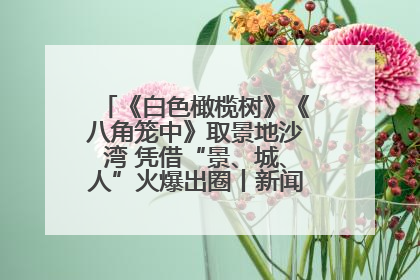 《白色橄榄树》《八角笼中》取景地沙湾 凭借“景、城、人”火爆出圈丨新闻发布最前线