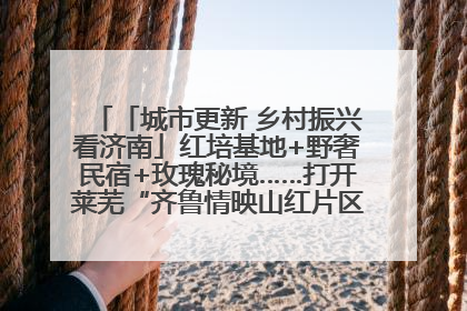 「城市更新 乡村振兴看济南」红培基地+野奢民宿+玫瑰秘境……打开莱芜“齐鲁情映山红片区”的破圈秘籍