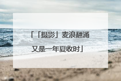 「摄影」麦浪翻涌 又是一年夏收时