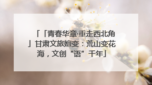 「青春华章·重走西北角」甘肃文旅嬗变：荒山变花海，文创“语”千年