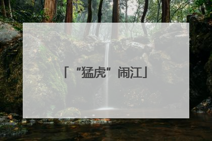 “猛虎”闹江