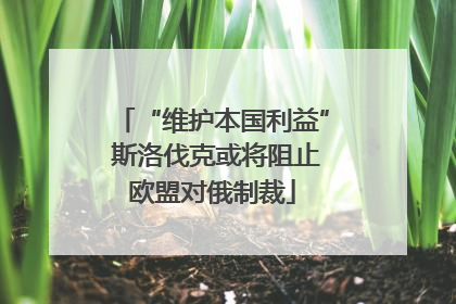 “维护本国利益” 斯洛伐克或将阻止欧盟对俄制裁