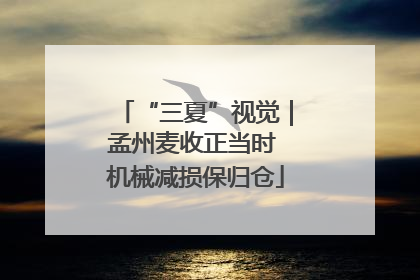 “三夏”视觉｜孟州麦收正当时 机械减损保归仓