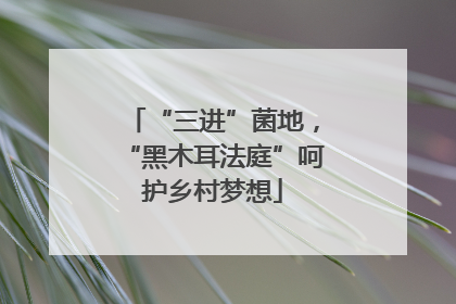“三进”菌地，“黑木耳法庭”呵护乡村梦想