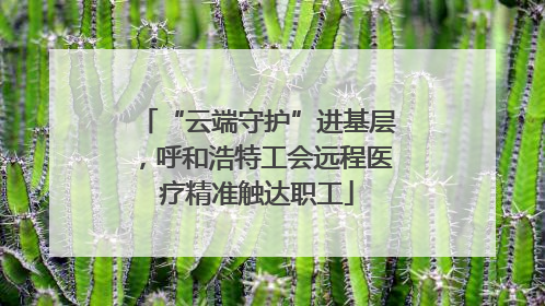 “云端守护”进基层，呼和浩特工会远程医疗精准触达职工