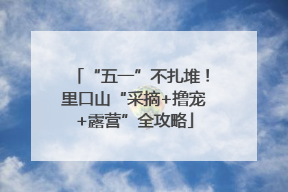 “五一”不扎堆！里口山“采摘+撸宠+露营”全攻略
