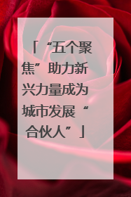 “五个聚焦”助力新兴力量成为城市发展“合伙人”