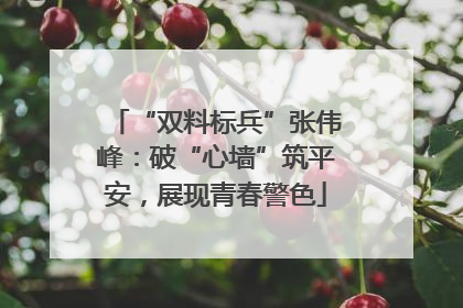 “双料标兵”张伟峰：破“心墙”筑平安，展现青春警色