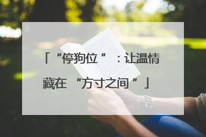 “停狗位 ”：让温情藏在 “方寸之间 ”