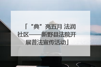 “典”亮五月 法润社区——新野县法院开展普法宣传活动
