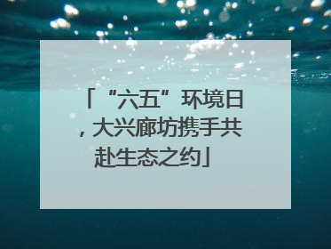 “六五”环境日，大兴廊坊携手共赴生态之约