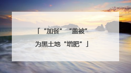 “加餐”“盖被” 为黑土地“增肥”