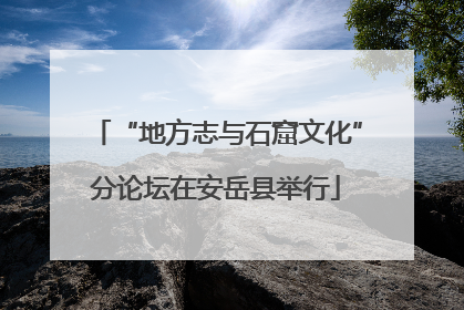 “地方志与石窟文化”分论坛在安岳县举行