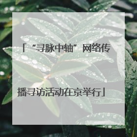 “寻脉中轴”网络传播寻访活动在京举行