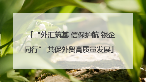 “外汇筑基 信保护航 银企同行” 共促外贸高质量发展