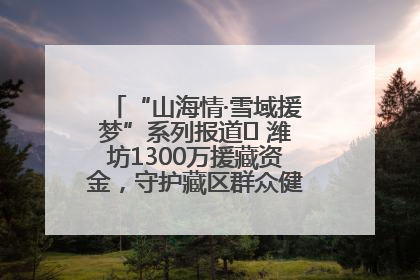 “山海情·雪域援梦”系列报道⑪ 潍坊1300万援藏资金，守护藏区群众健康“最后一公里”
