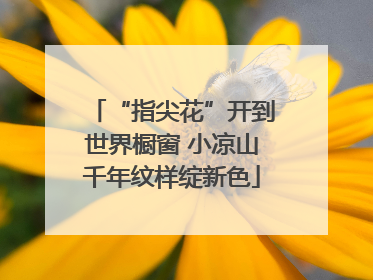 “指尖花”开到世界橱窗 小凉山千年纹样绽新色