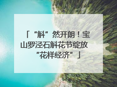 “斛”然开朗！宝山罗泾石斛花节绽放“花样经济”