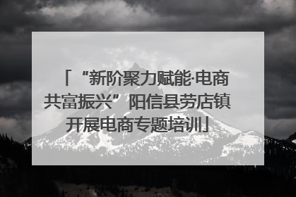“新阶聚力赋能·电商共富振兴”阳信县劳店镇开展电商专题培训