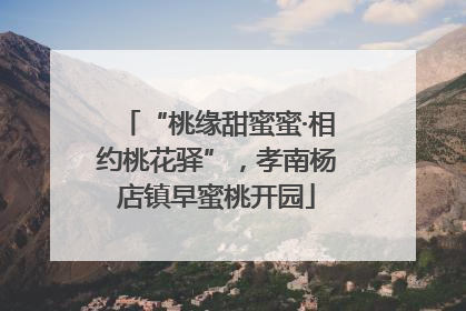 “桃缘甜蜜蜜·相约桃花驿”，孝南杨店镇早蜜桃开园