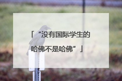“没有国际学生的哈佛不是哈佛”