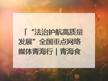 “法治护航高质量发展”全国重点网络媒体青海行｜青海食品工业协会：架起“青字号”美食的产业化桥梁
