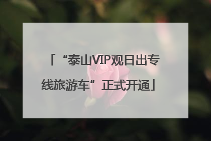 “泰山VIP观日出专线旅游车”正式开通