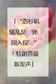 “洛杉矶骚乱是‘外国入侵’”！特朗普最新发声