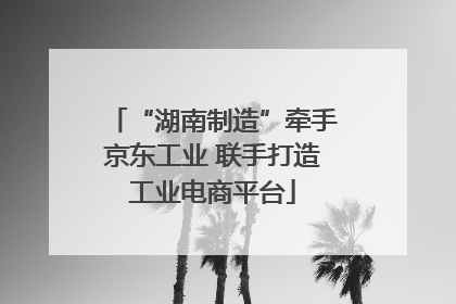 “湖南制造”牵手京东工业 联手打造工业电商平台