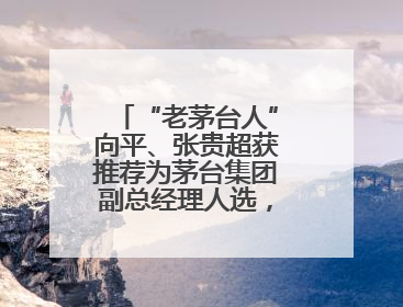 “老茅台人”向平、张贵超获推荐为茅台集团副总经理人选，后者是集团最年轻党委委员