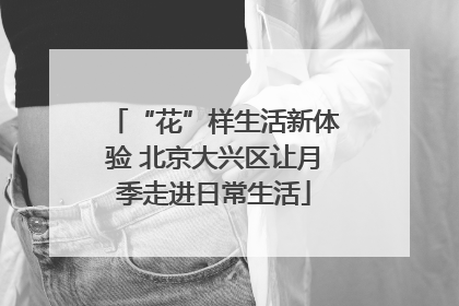 “花”样生活新体验 北京大兴区让月季走进日常生活