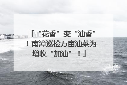 “花香”变“油香”！南漳巡检万亩油菜为增收“加油”！