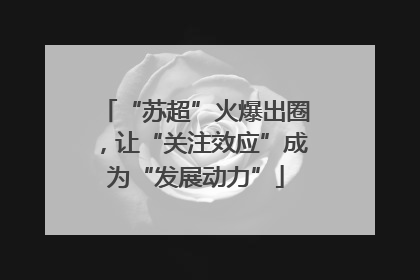 “苏超”火爆出圈，让“关注效应”成为“发展动力”