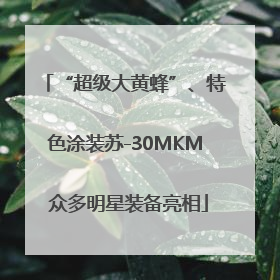 “超级大黄蜂”、特色涂装苏-30MKM 众多明星装备亮相