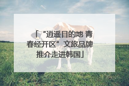 “逍遥目的地 青春经开区”文旅品牌推介走进韩国