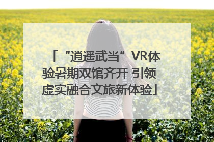 “逍遥武当”VR体验暑期双馆齐开 引领虚实融合文旅新体验