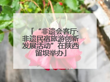 “非遗会客厅·非遗民宿旅游创新发展活动”在陕西留坝举办