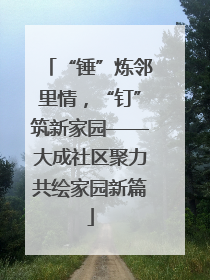 “锤”炼邻里情，“钉”筑新家园——大成社区聚力共绘家园新篇