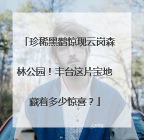 珍稀黑鹳惊现云岗森林公园！丰台这片宝地藏着多少惊喜？