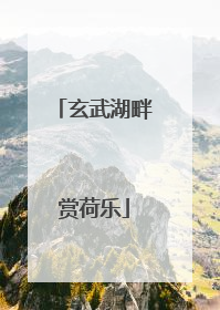 玄武湖畔赏荷乐