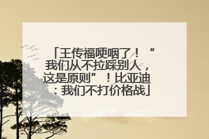 王传福哽咽了！“我们从不拉踩别人，这是原则”！比亚迪：我们不打价格战