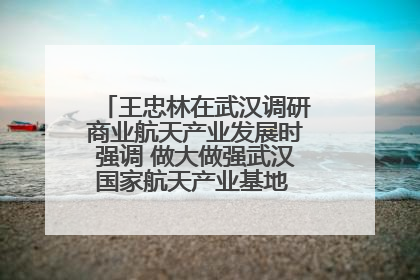 王忠林在武汉调研商业航天产业发展时强调 做大做强武汉国家航天产业基地 打造具有全国影响力的“中国星谷”