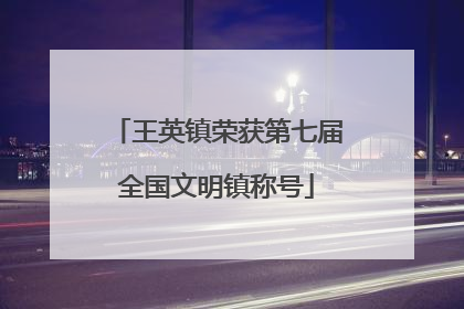 王英镇荣获第七届全国文明镇称号