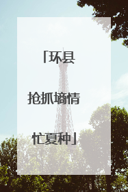 环县 抢抓墒情忙夏种