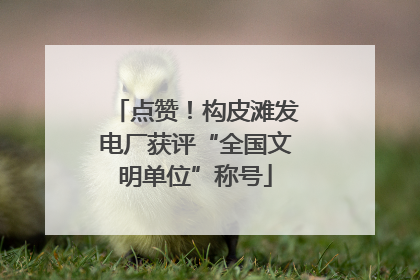点赞！构皮滩发电厂获评“全国文明单位”称号