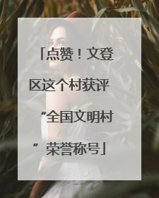 点赞！文登区这个村获评“全国文明村”荣誉称号