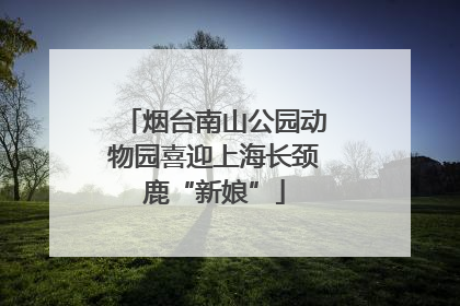 烟台南山公园动物园喜迎上海长颈鹿“新娘”