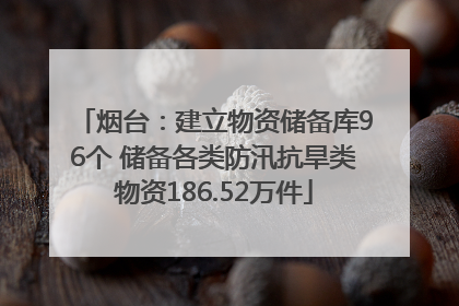 烟台：建立物资储备库96个 储备各类防汛抗旱类物资186.52万件