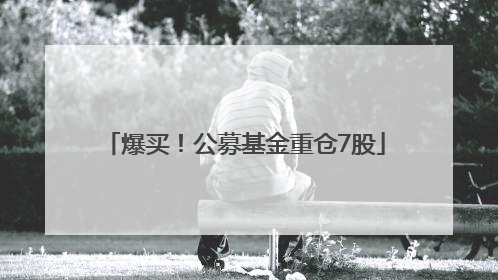 爆买！公募基金重仓7股
