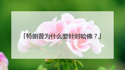 特朗普为什么要针对哈佛？
